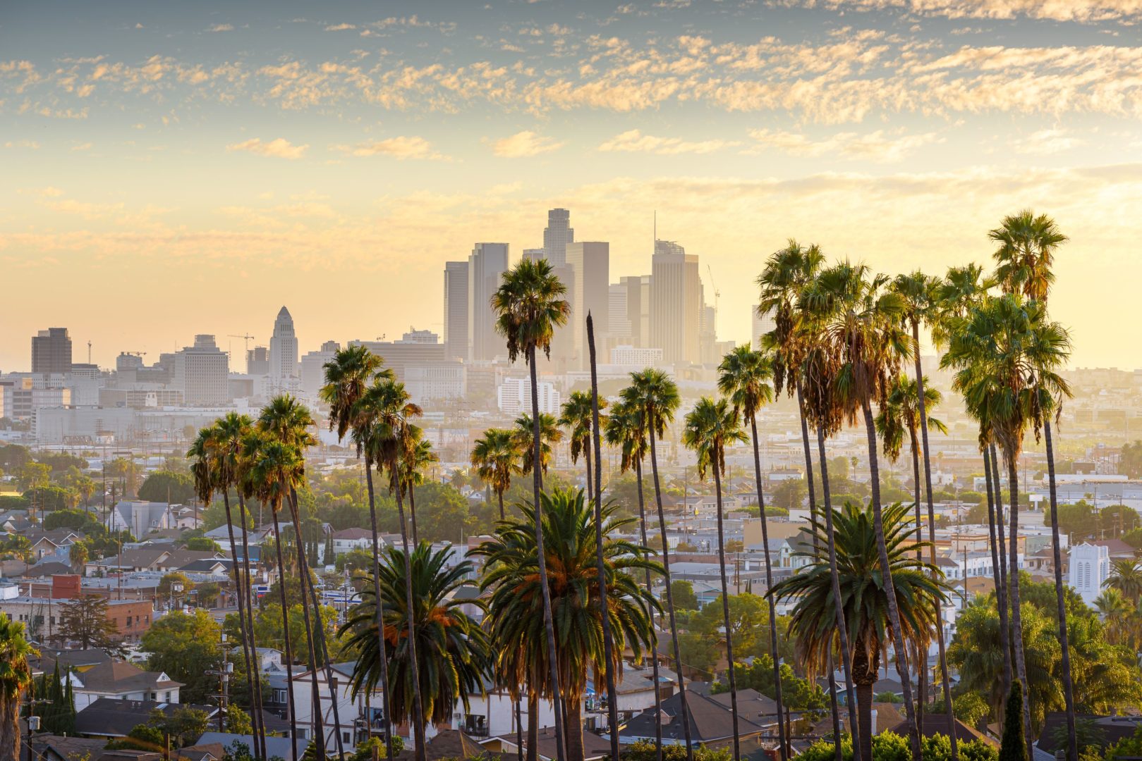 our business lawyers reside in los angeles here is a picture